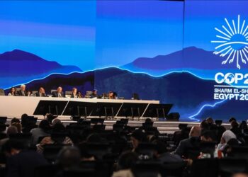 Message to the COP27 UN Climate Change Conference