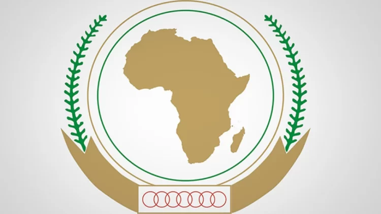 New African Union chair brings controversial record to top post