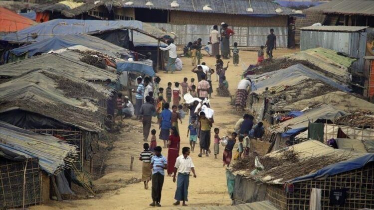 Bangladesh: Halt ‘Pilot’ Plan to Return Rohingya