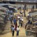 Bangladesh: Halt ‘Pilot’ Plan to Return Rohingya