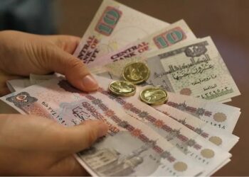 "Standard & Poor's" warns of the dangers of the depreciation of the Egyptian pound to the Egyptian economy