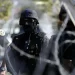 French press: Erdogan is a real miracle and let's admit that he has the support of his people