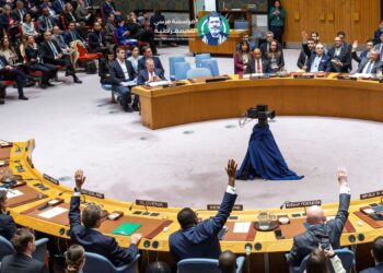 أحقية فلسطين بالعضوية الكاملة للأمم المتحدة قرار في بداية الطريق الصحيح.